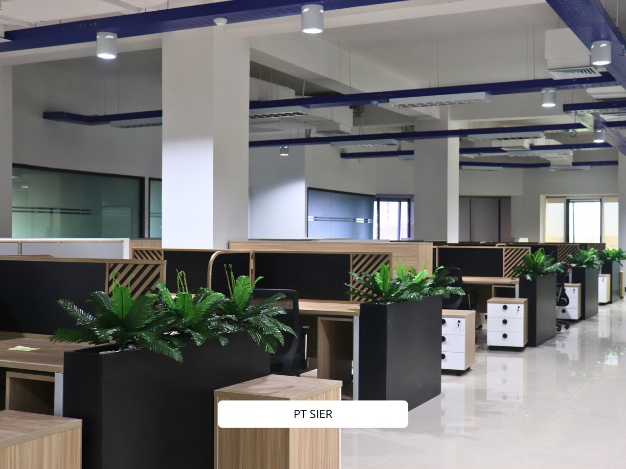 portfolio website - 1